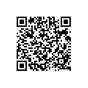 安吉丽娜朱莉婚礼