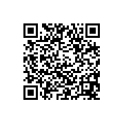 汤姆猫时光快跑