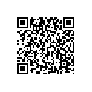 超级印尼巴士游戏