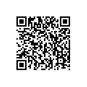 Into the Dead安卓版