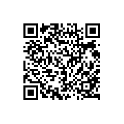 菜鸟大掌门超v版