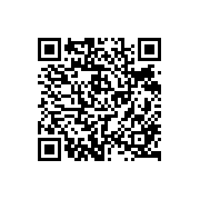 汉字词典app